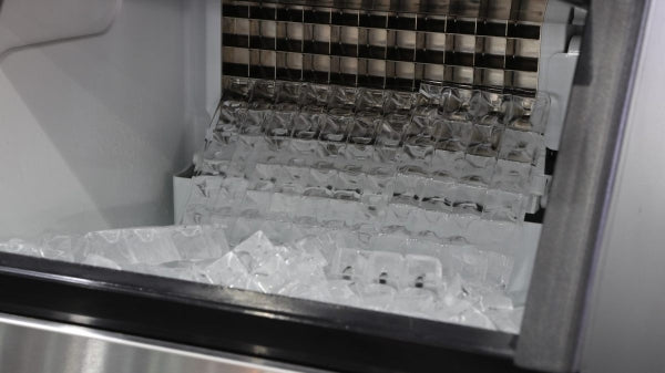 The Ice Maker: Origins of a Summer Staple